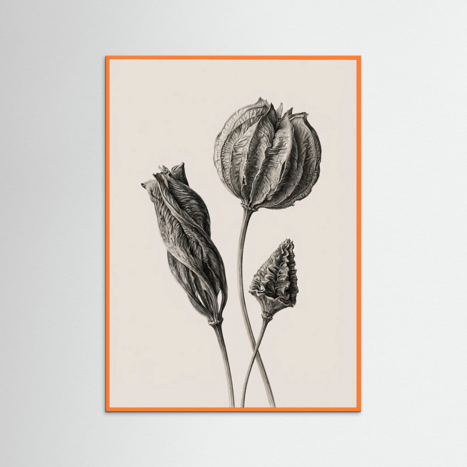 Orange Wood Solitary Bloom