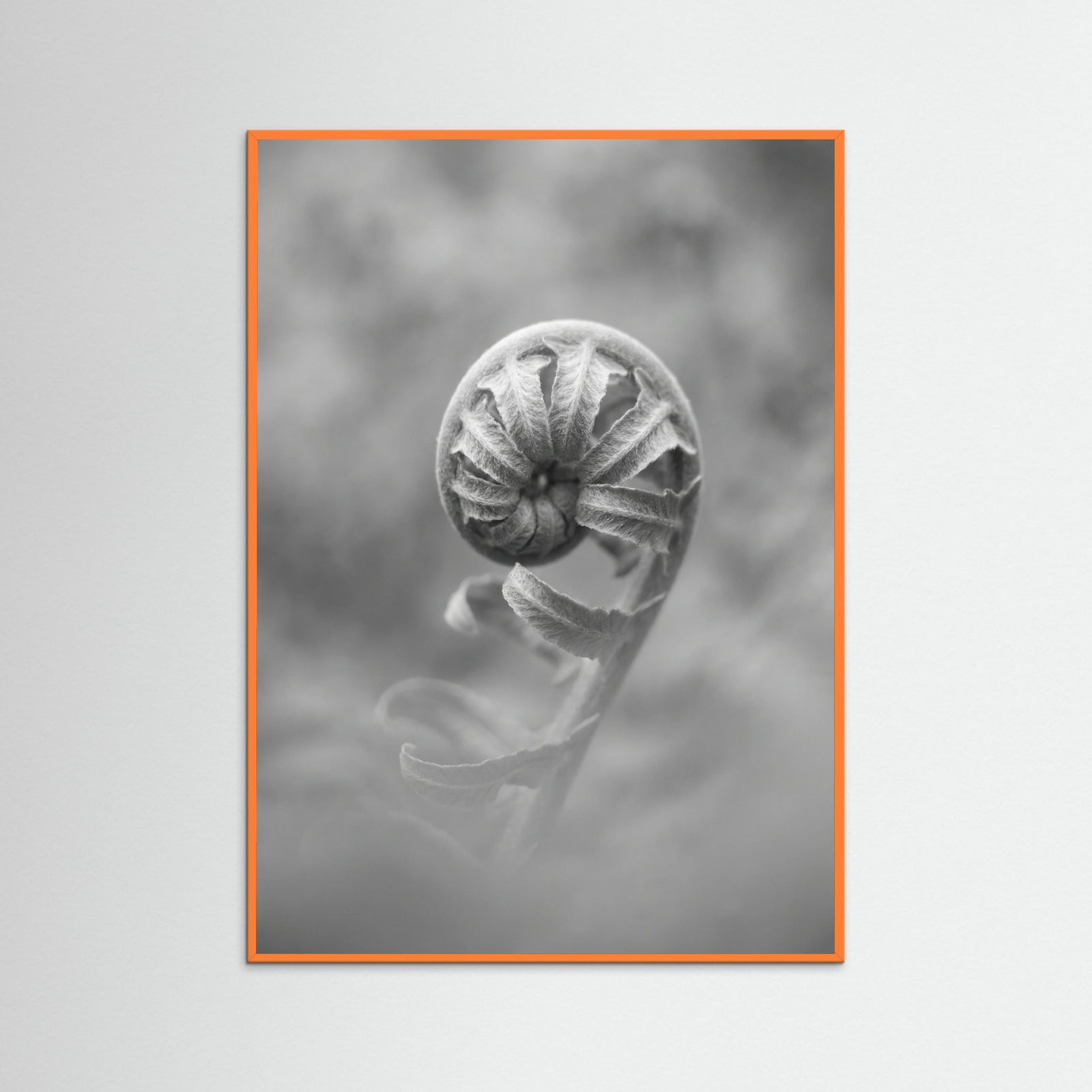 Orange Wood Solitary Bloom