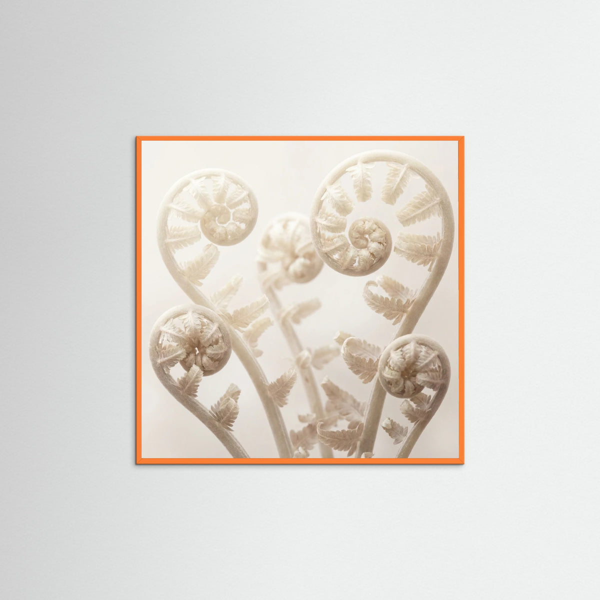 Orange Wood Square Ethereal Bloom