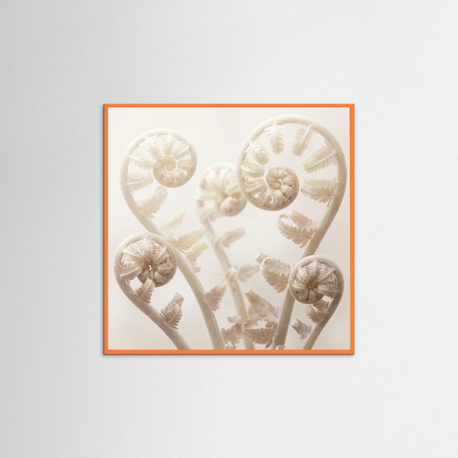 Orange Wood Square Ethereal Bloom