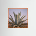 Orange Wood Square Muted Opuntia