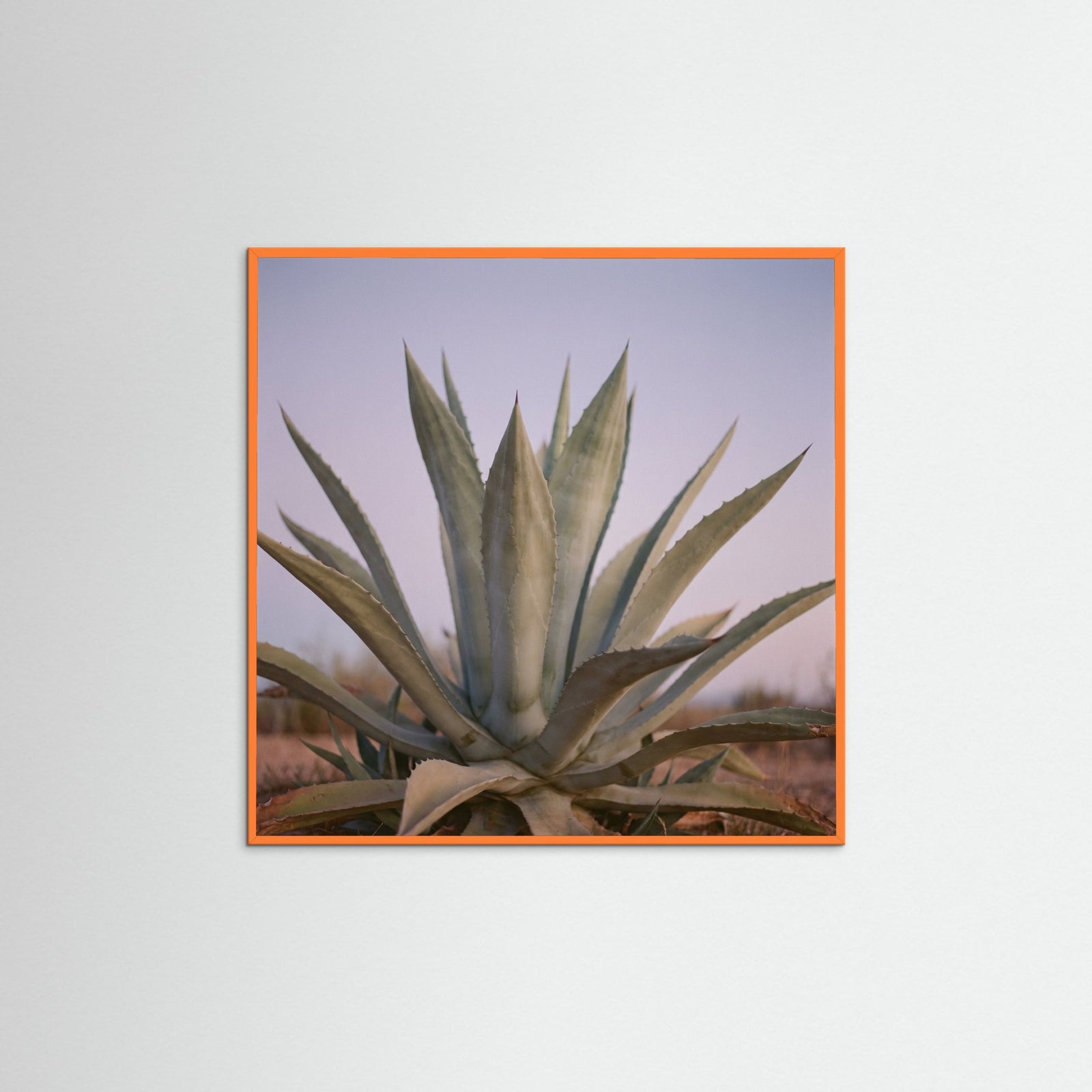 Orange Wood Square Muted Opuntia