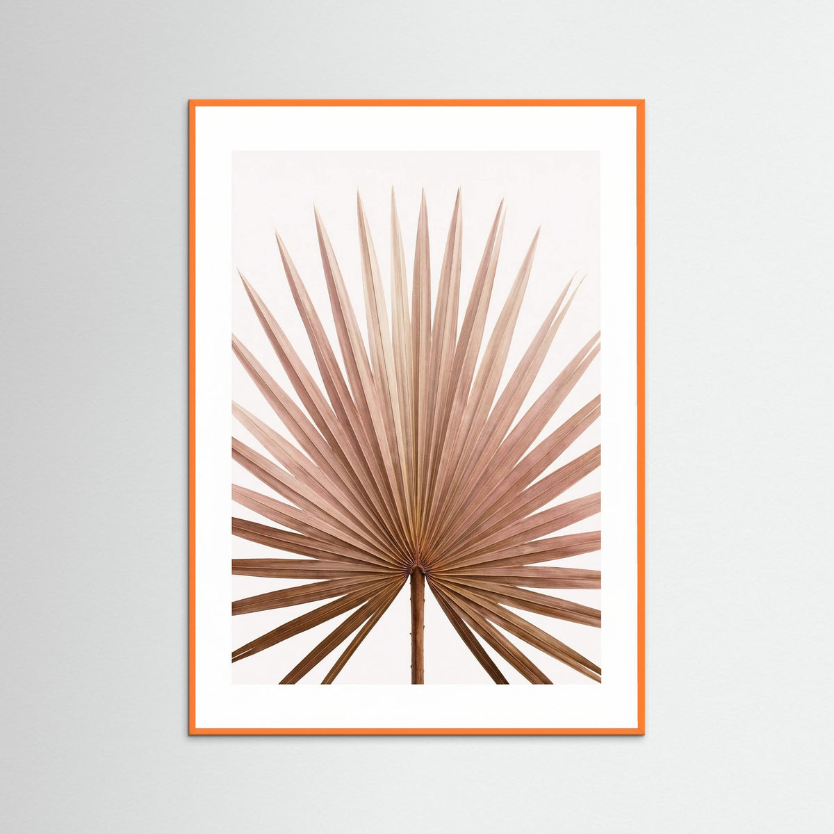 Orange Wood Tropical Blush