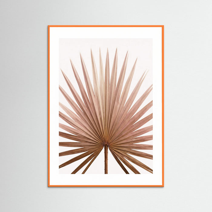 Orange Wood Tropical Blush