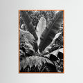 Orange Wood Tropical Canopy