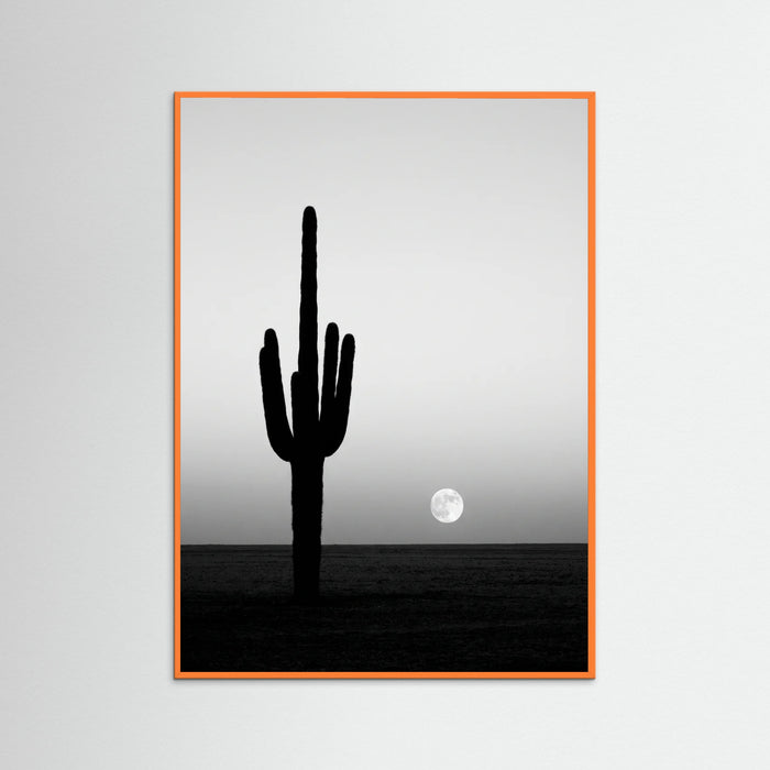 Orange Wood Tropical Crescent