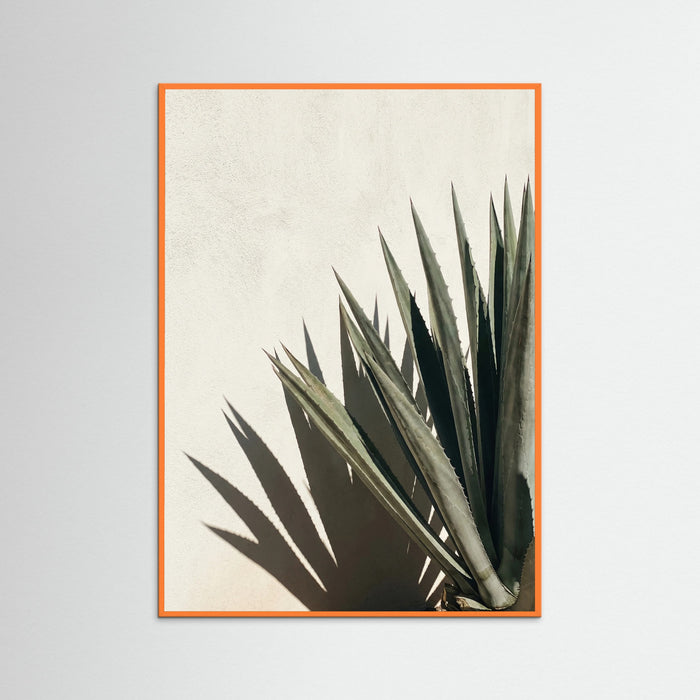 Orange Wood Tropical Shadows