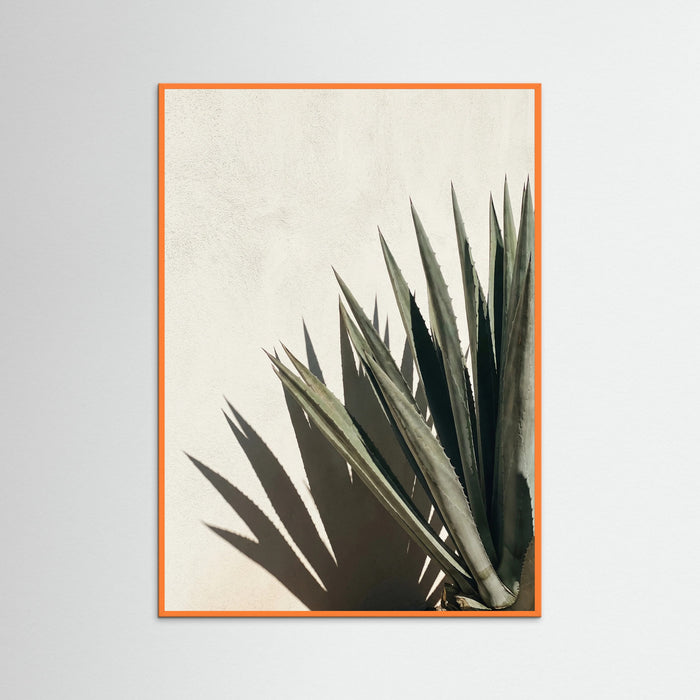 Orange Wood Tropical Shadows