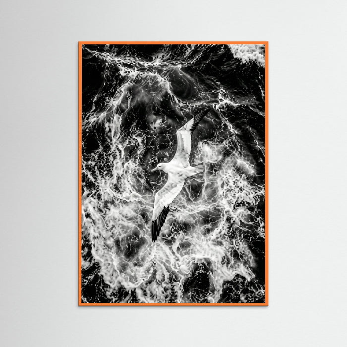 Orange Wood Turbulent Flight