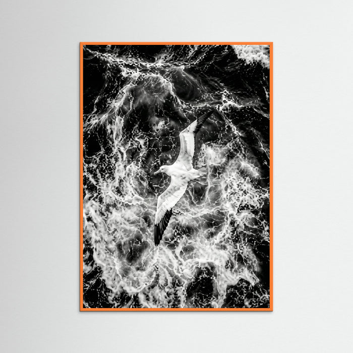 Orange Wood Turbulent Flight