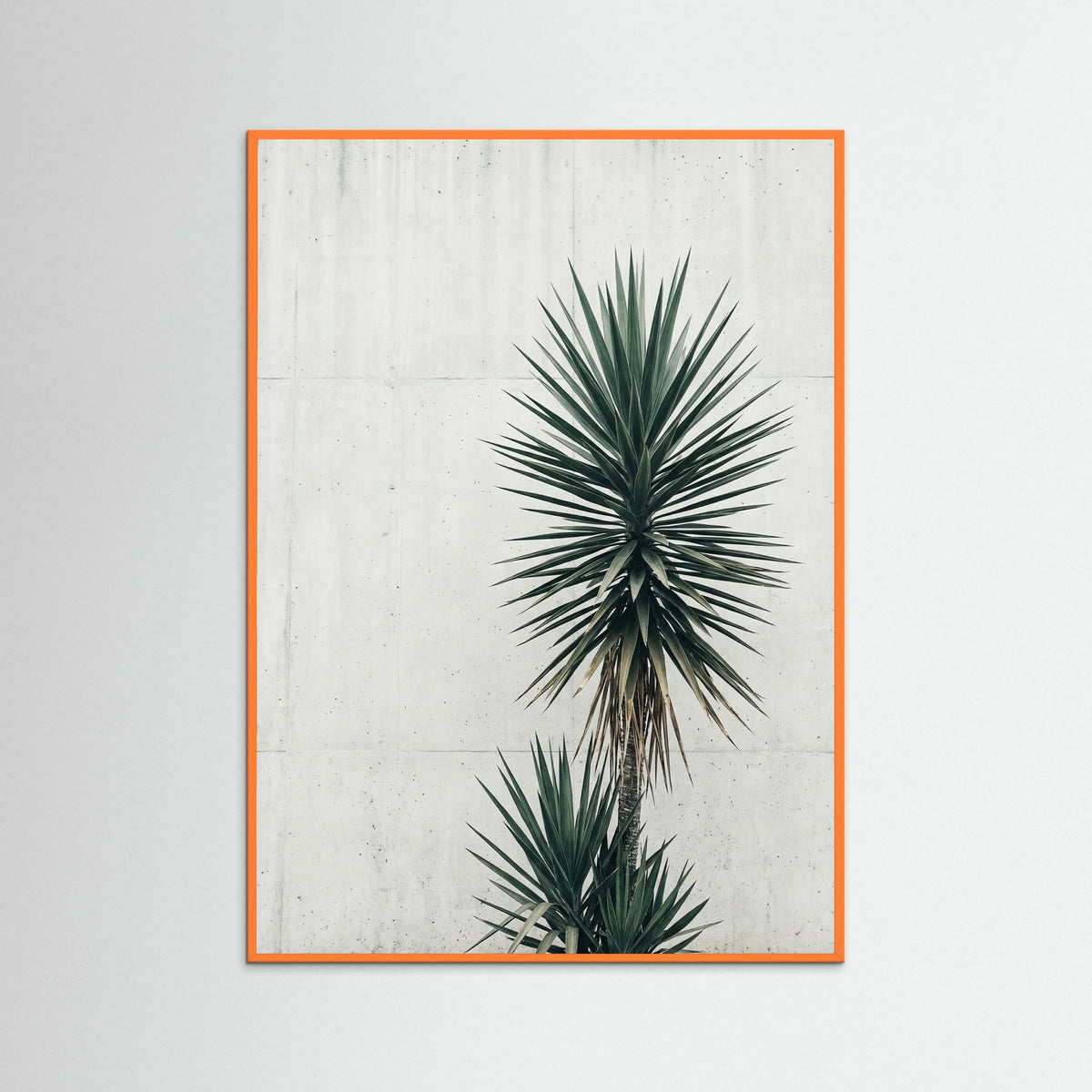 Orange Wood Urban Palms Vista