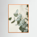 Orange Wood Verdant Calm