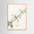 Orange Wood Verdant Calm