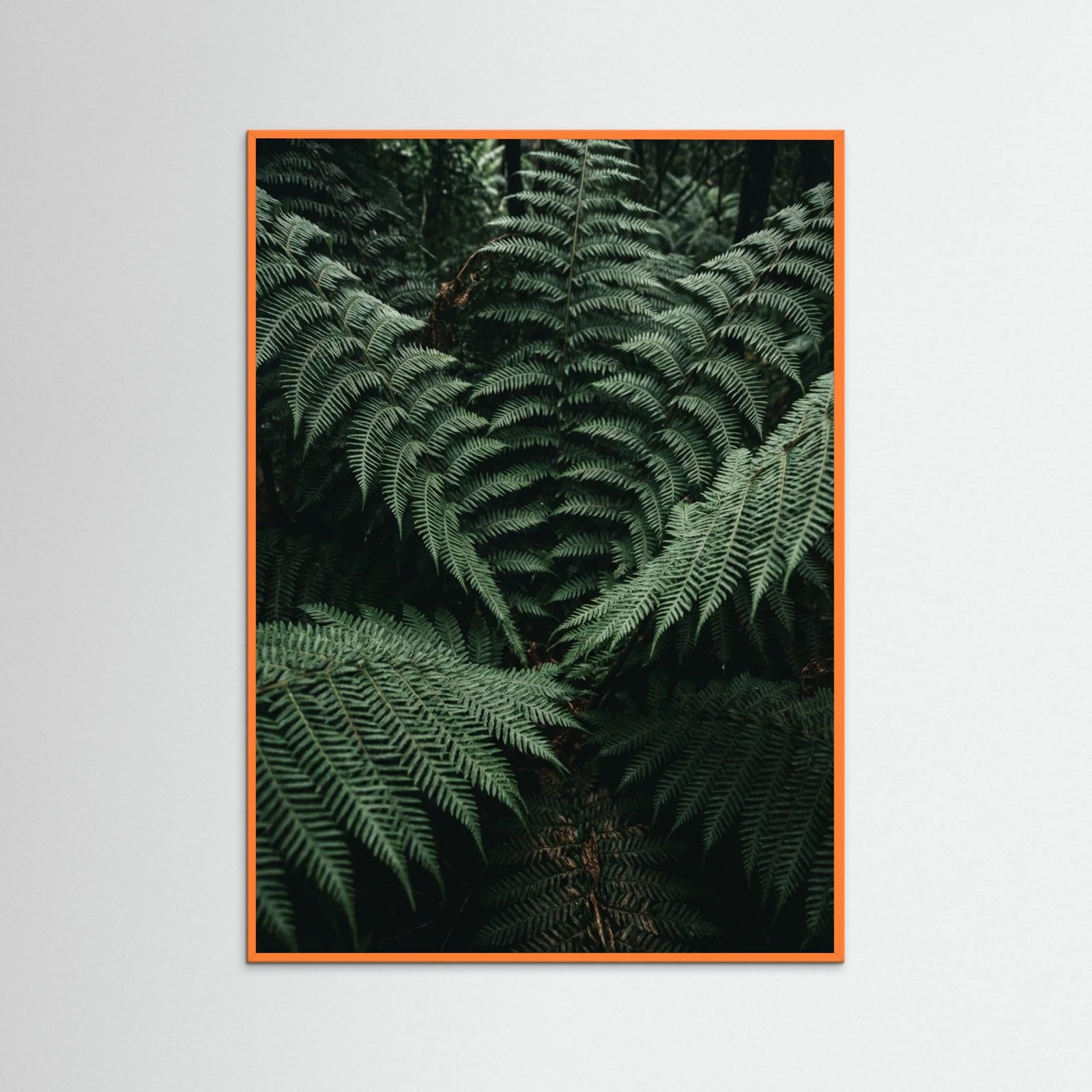 Orange Wood Verdant Depths