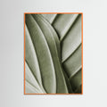 Orange Wood Verdant Folds