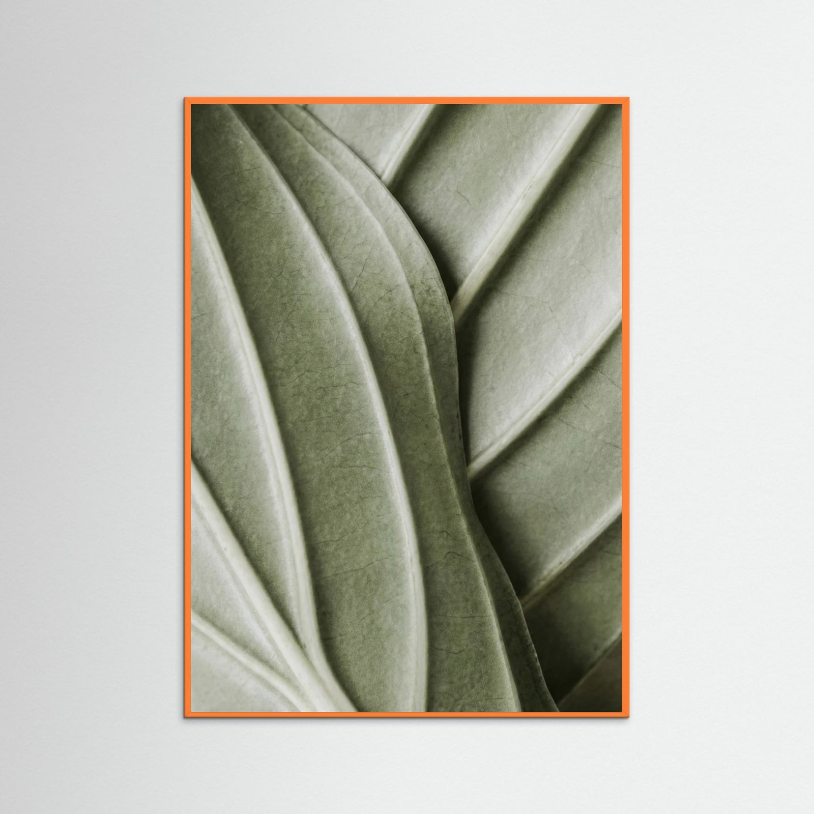 Orange Wood Verdant Folds