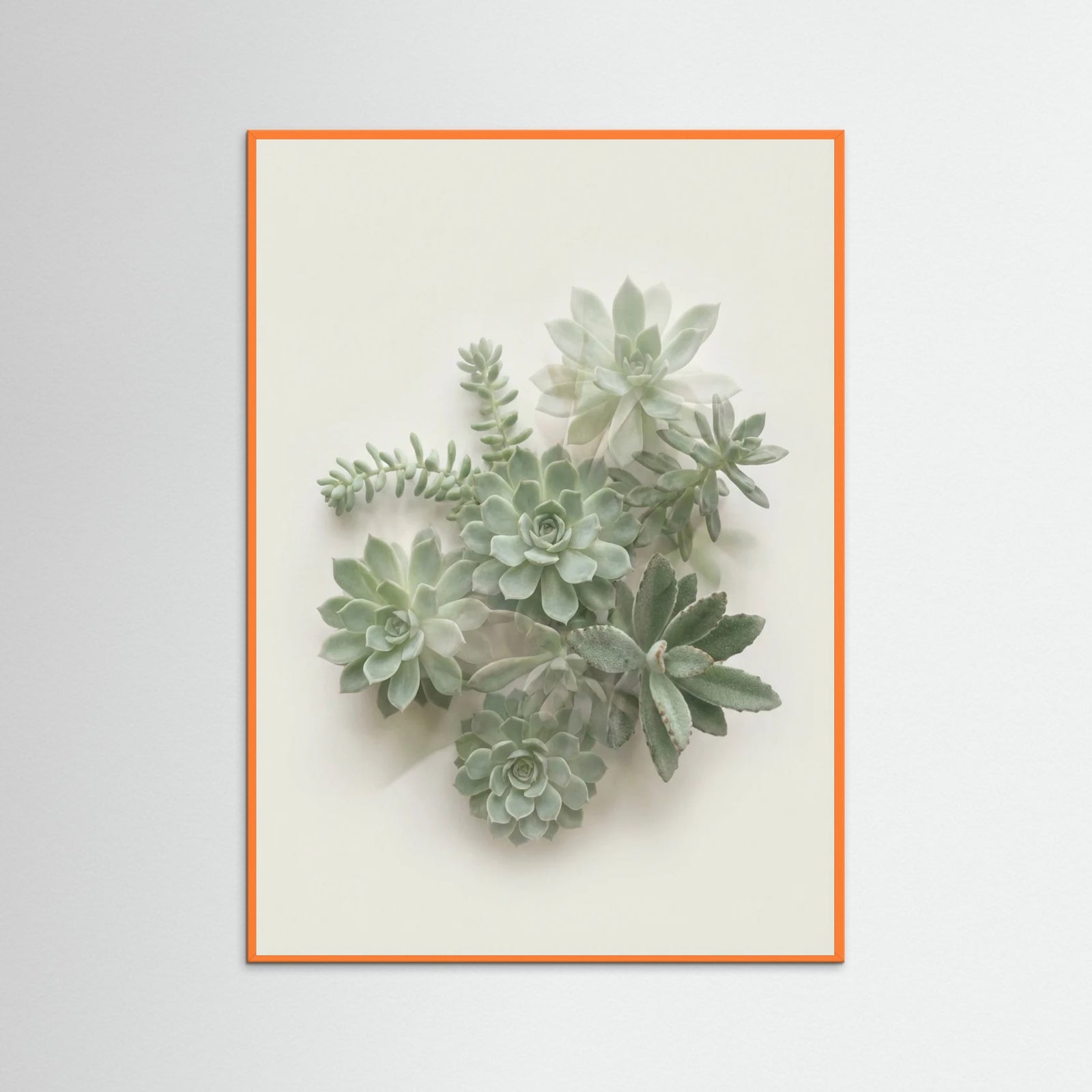Orange Wood Verdant Stillness