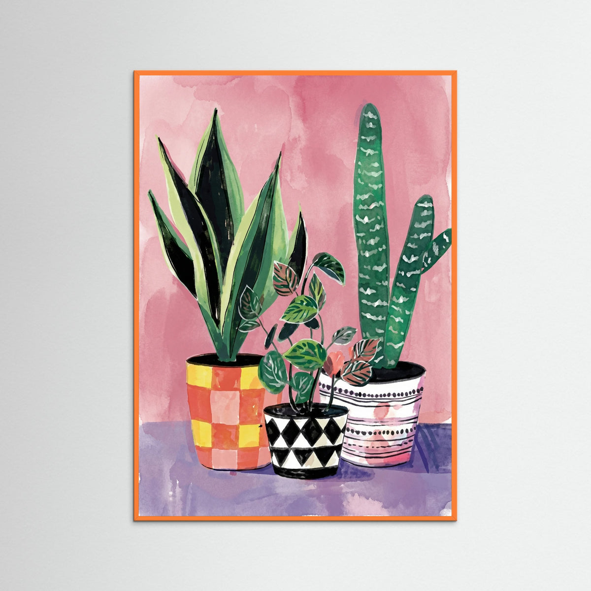 Orange Wood Vibrant Houseplant Trio