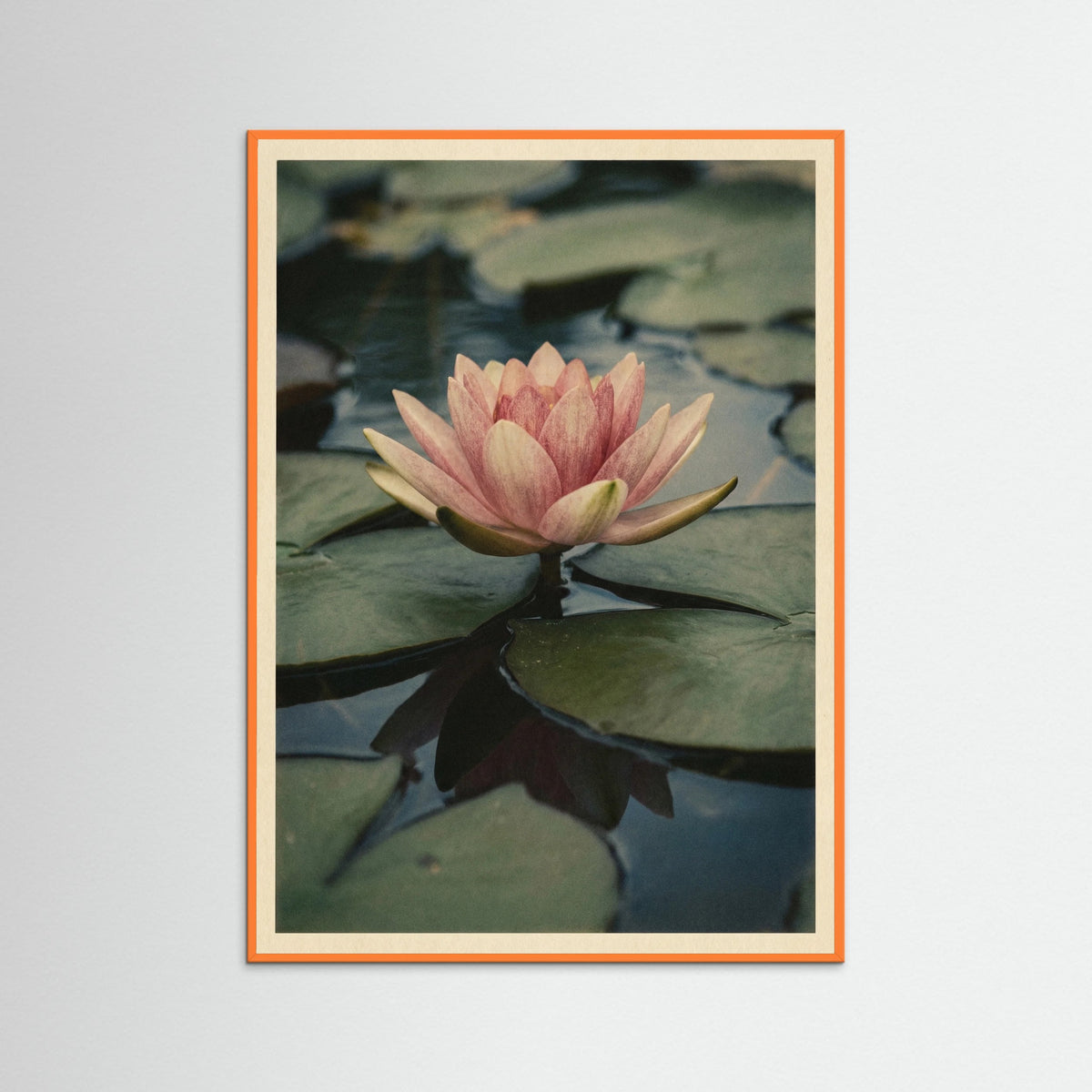Orange Wood Vintage Lotus Study