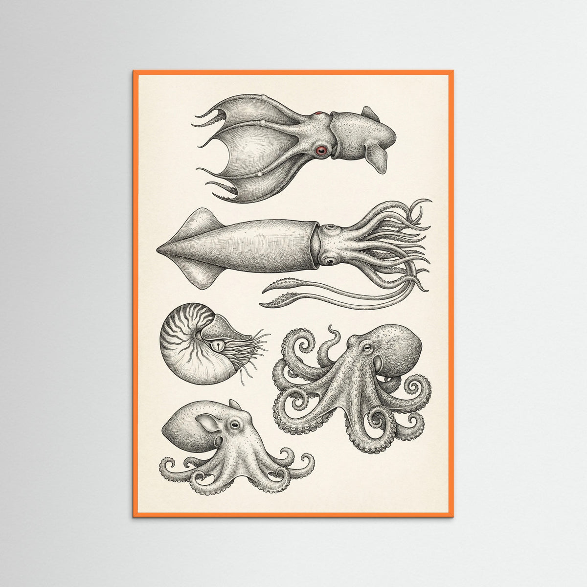 Orange Wood Vintage Shark Study