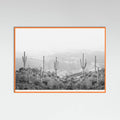 Orange Wood Western Cactus Poster