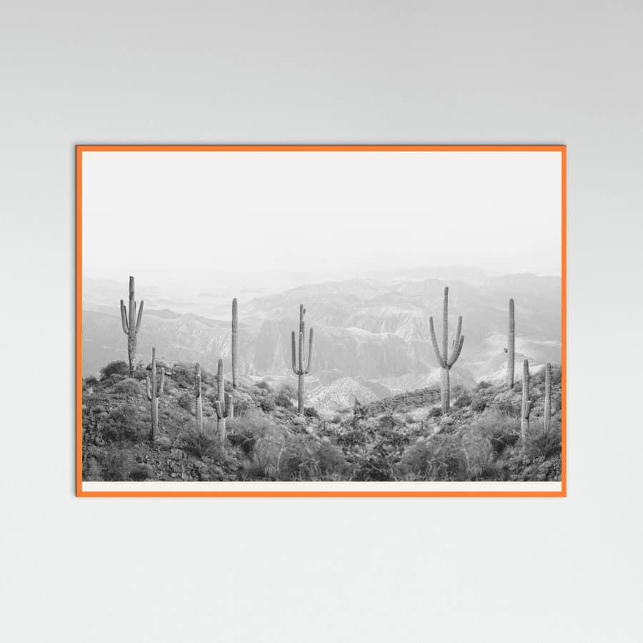 Orange Wood Western Cactus Poster