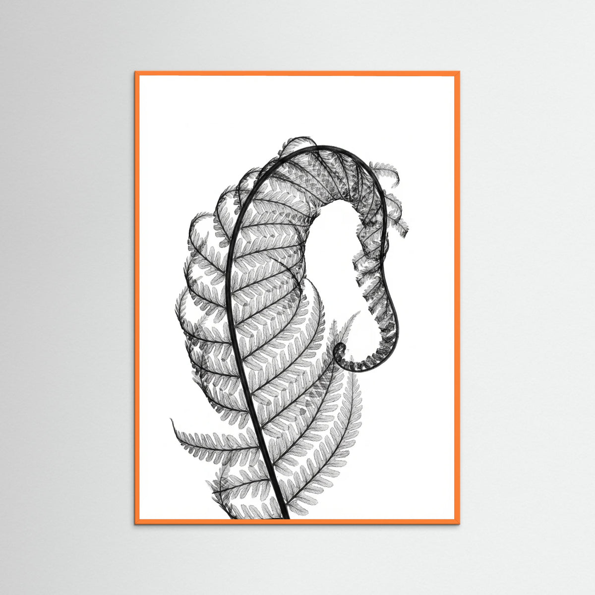 Orange Wood Whisper Bloom