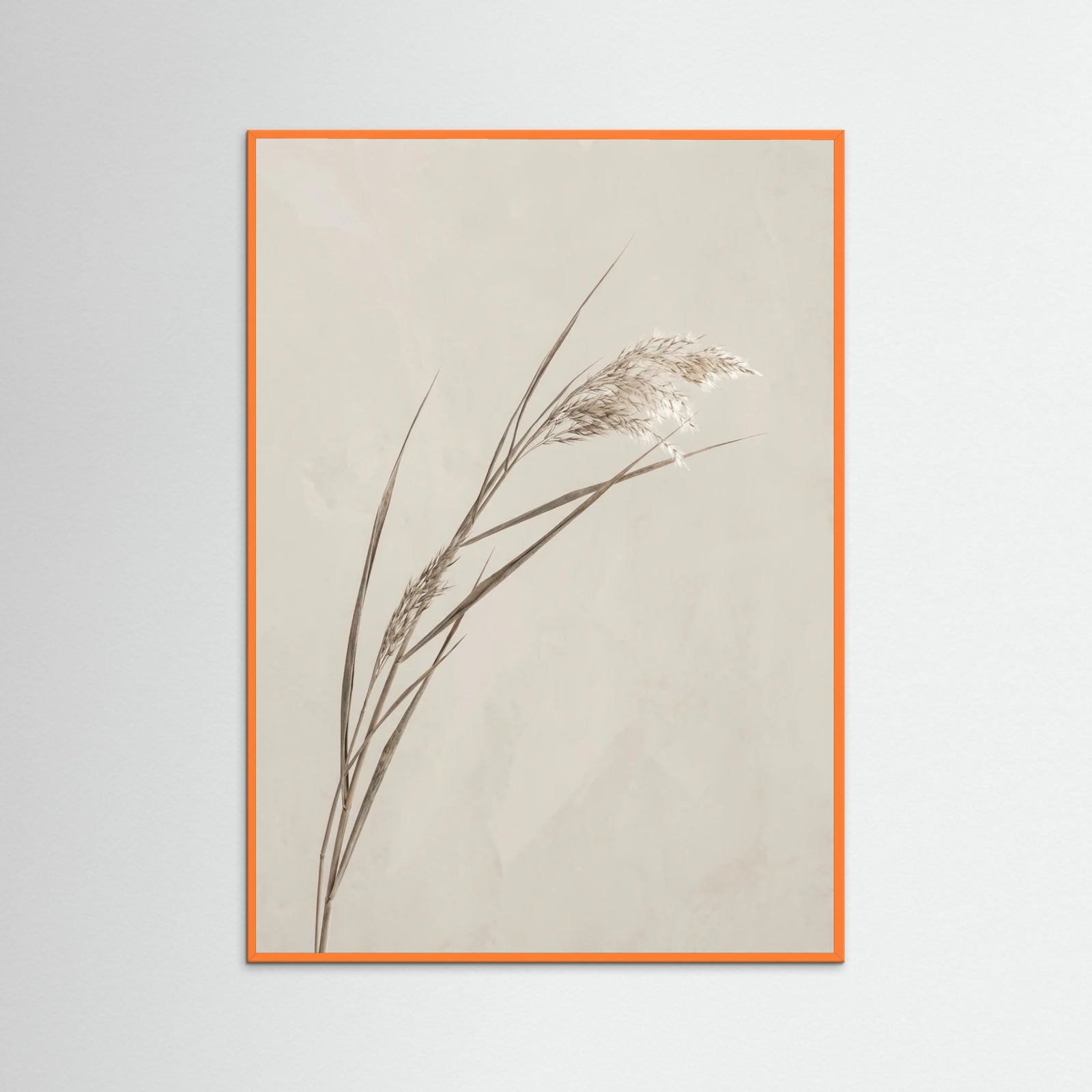 Orange Wood Whisper Bloom