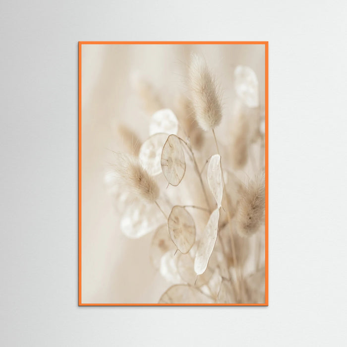 Orange Wood Whisper Bloom