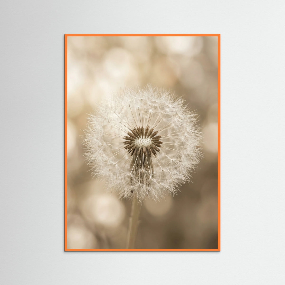 Orange Wood Whispering Plumes