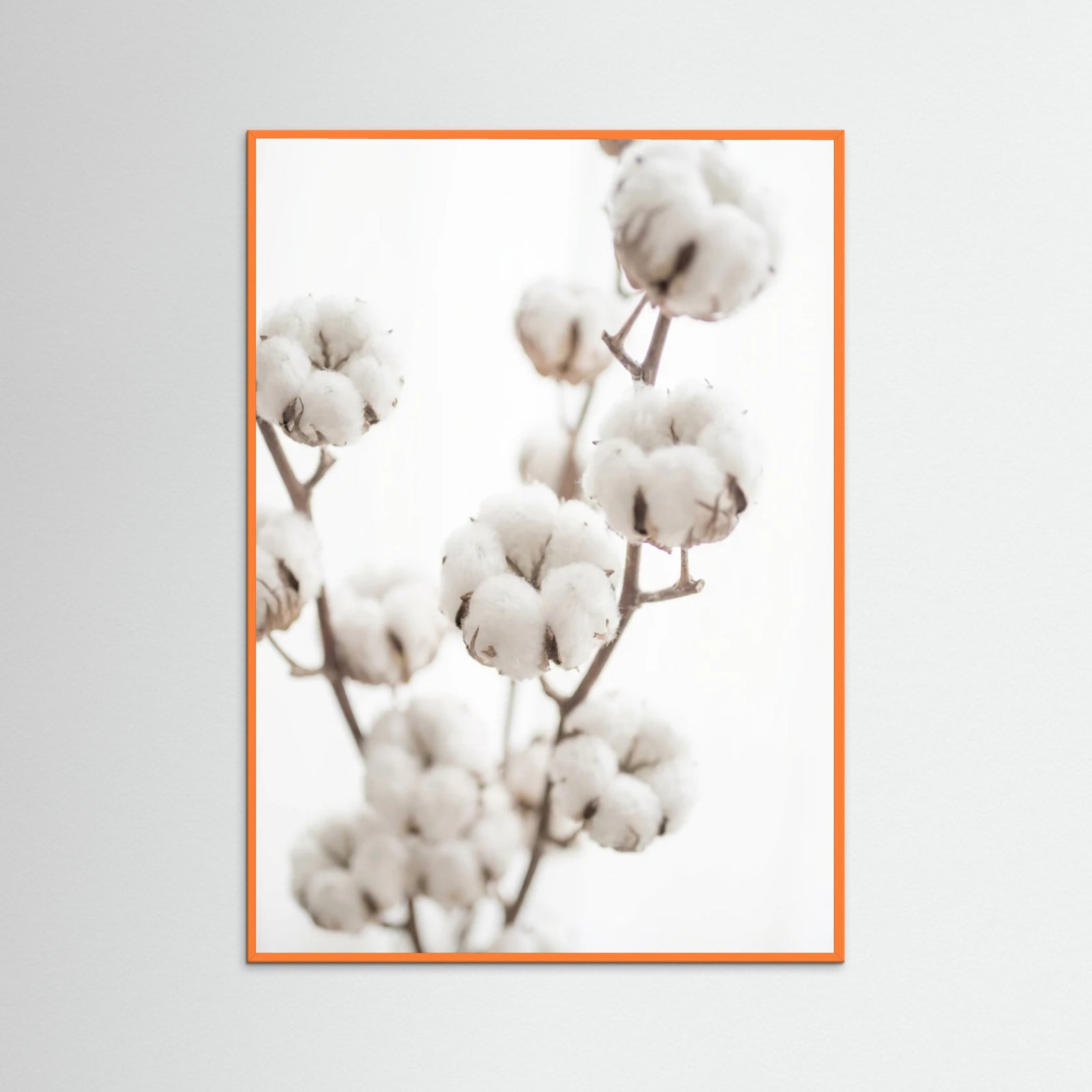 Orange Wood Whispering Reeds