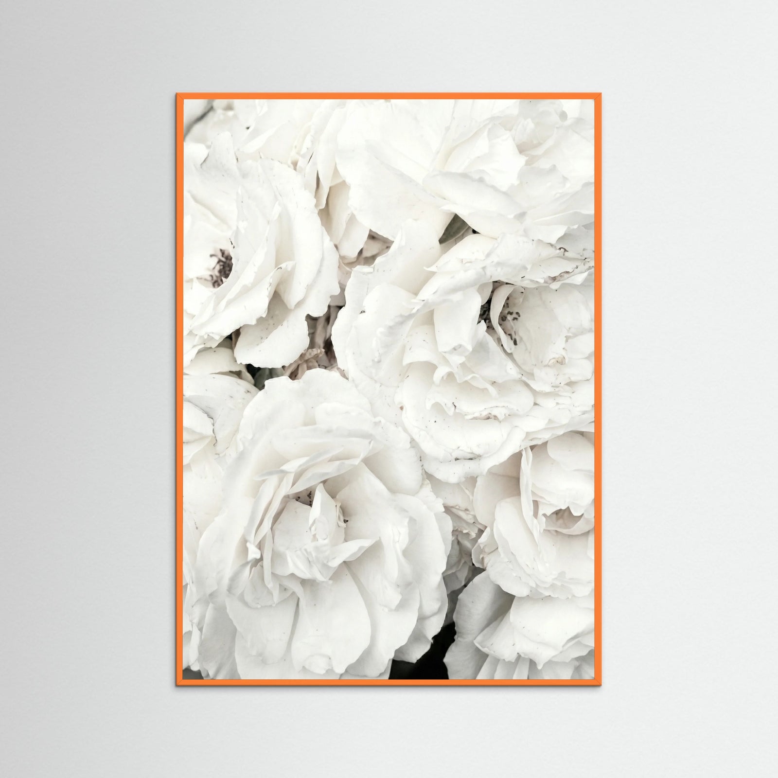 Orange Wood White Petal Embrace
