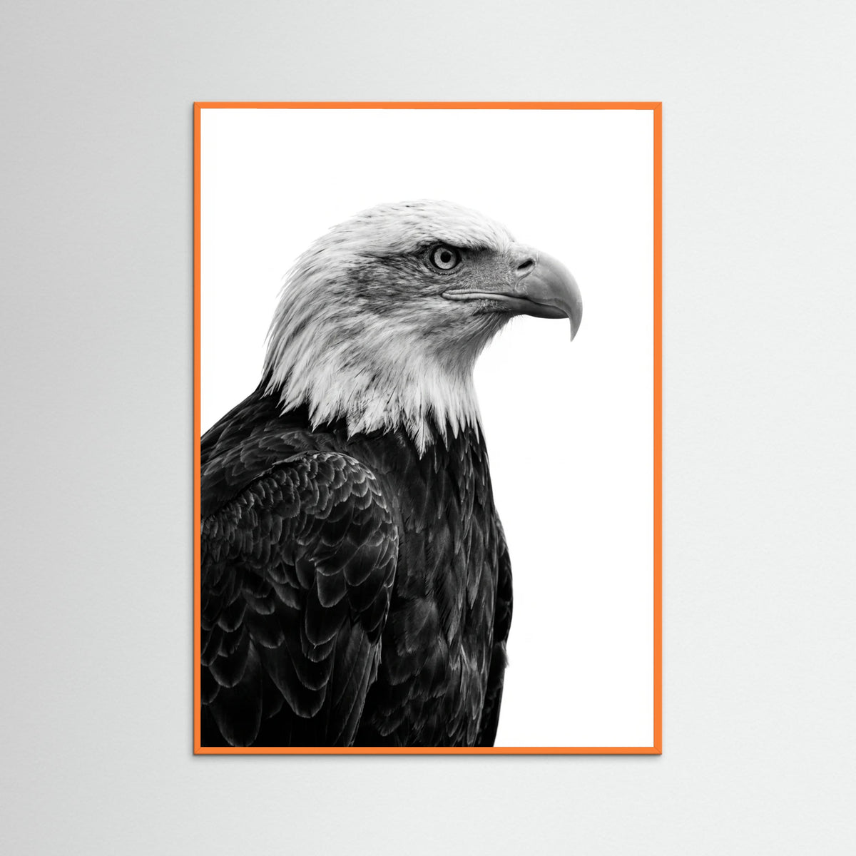 Orange Wood Wild Profile