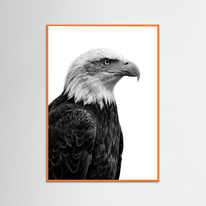 Orange Wood Wild Profile