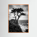 Orange Wood Windblown Grace