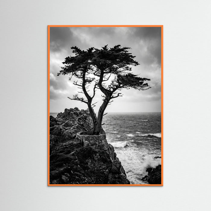 Orange Wood Windblown Grace