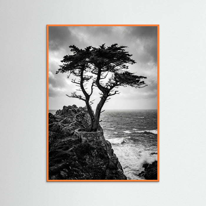 Orange Wood Windblown Grace