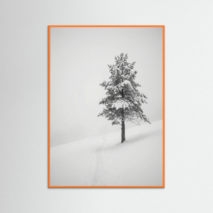 Orange Wood Winter Ascent