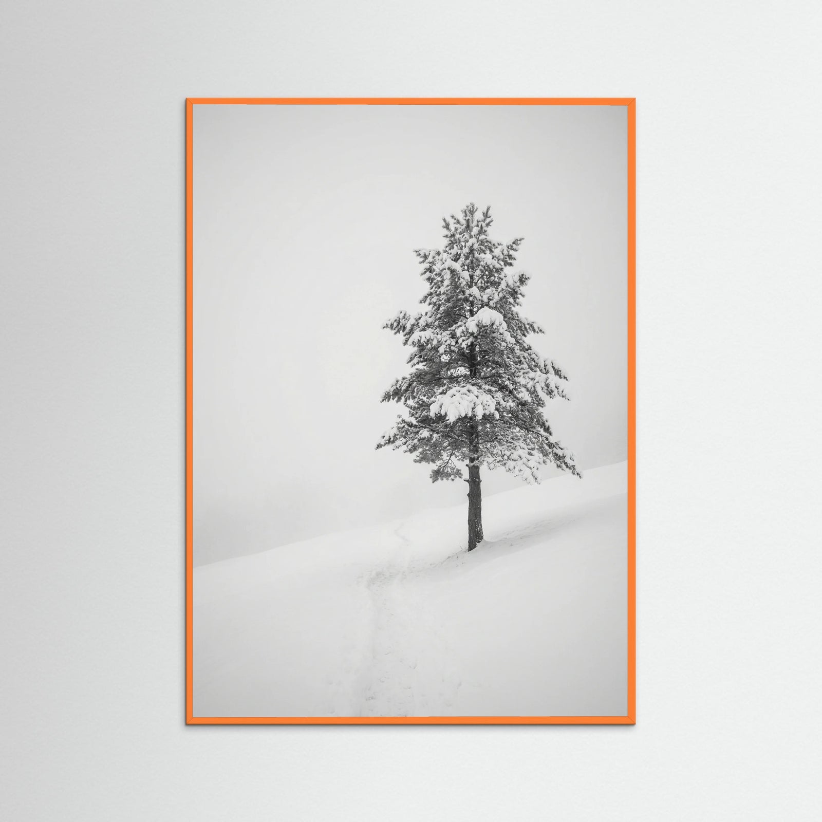 Orange Wood Winter Ascent