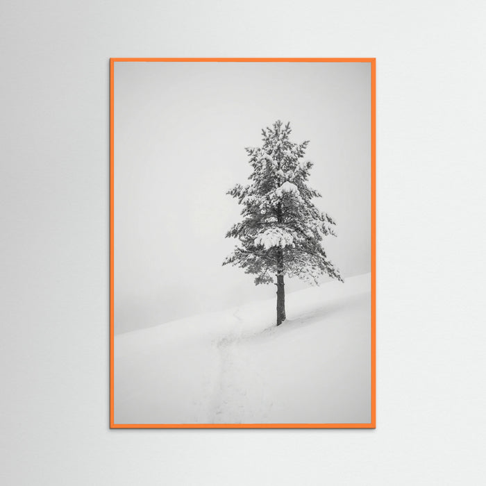 Orange Wood Winter Ascent