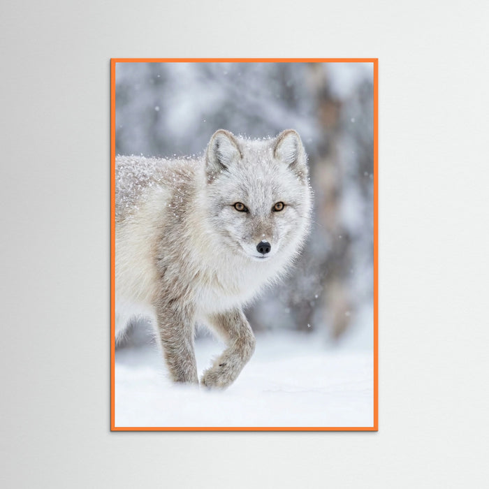 Orange Wood Winter Majesty