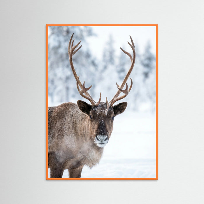 Orange Wood Winter Reindeer Run