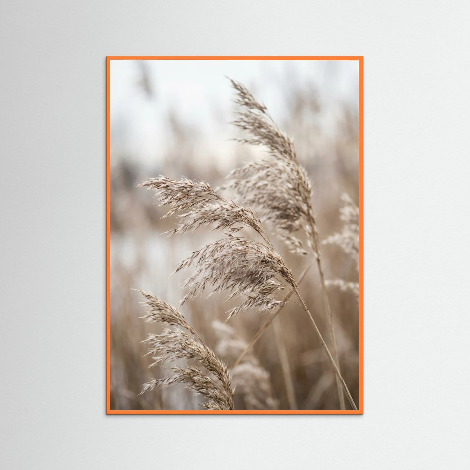 Orange Wood Winter Whisper