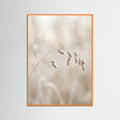 Orange Wood Winter Whispers