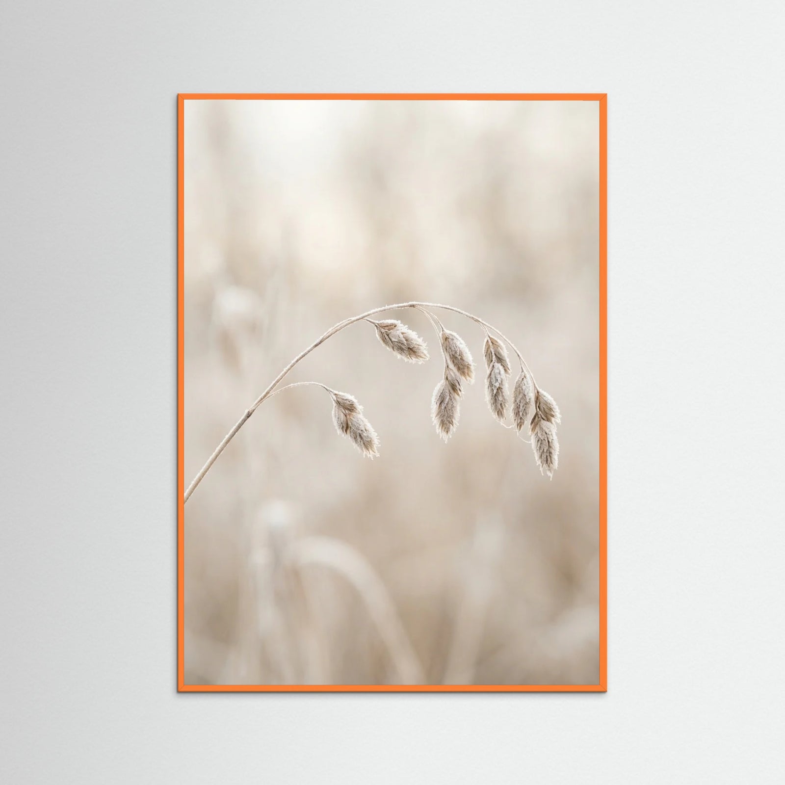 Orange Wood Winter Whispers