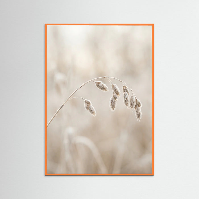Orange Wood Winter Whispers