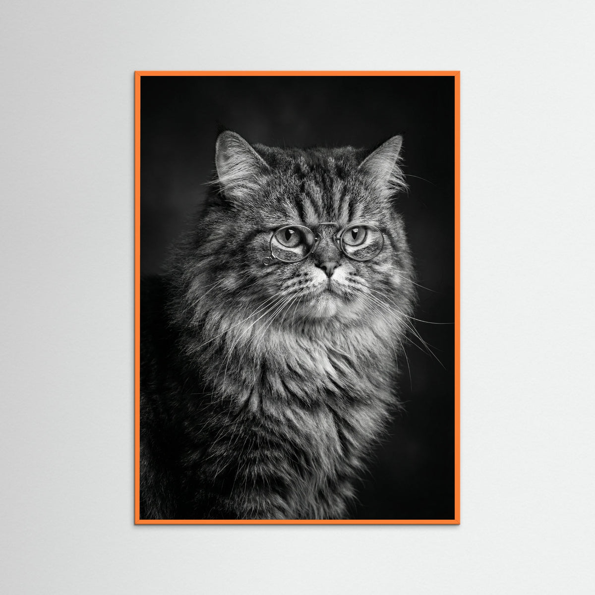 Orange Wood Wise Canine