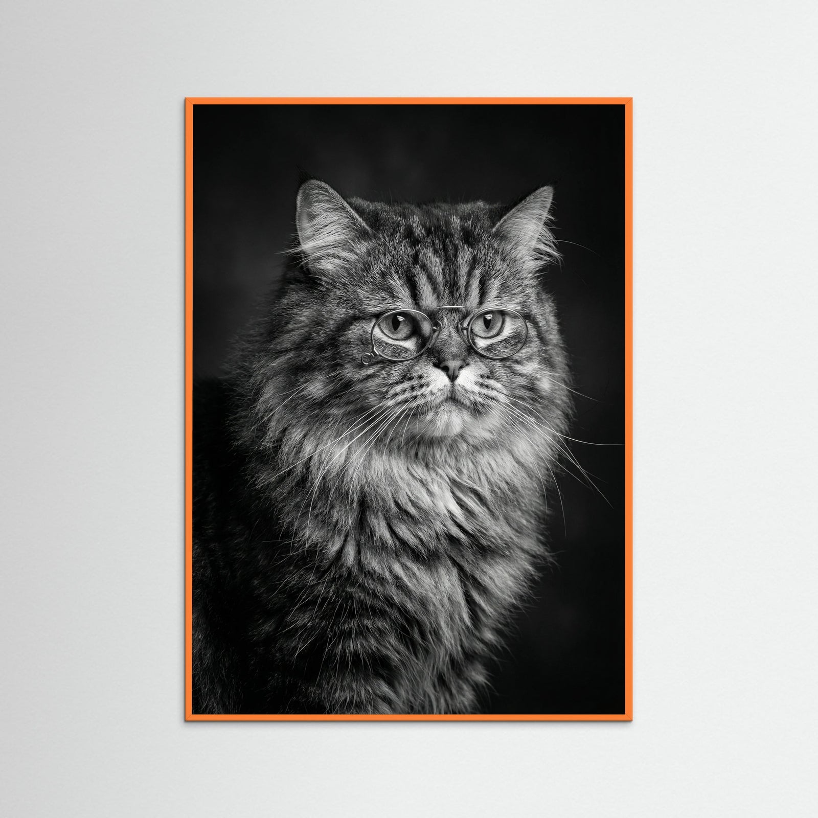 Orange Wood Wise Canine