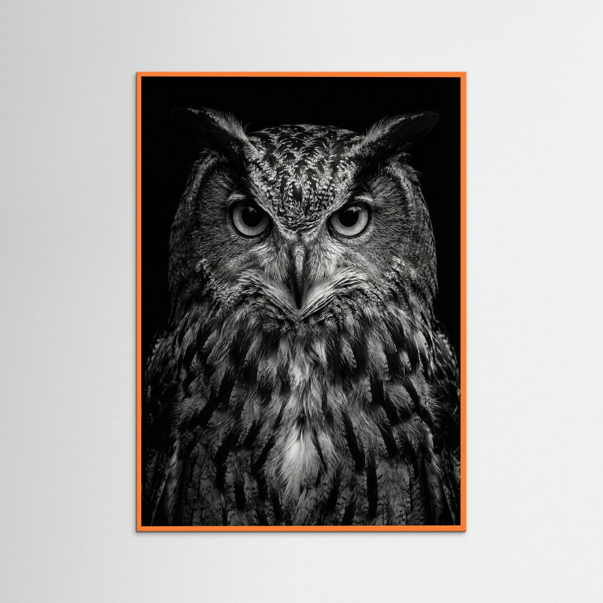 Orange Wood Wise Labrador