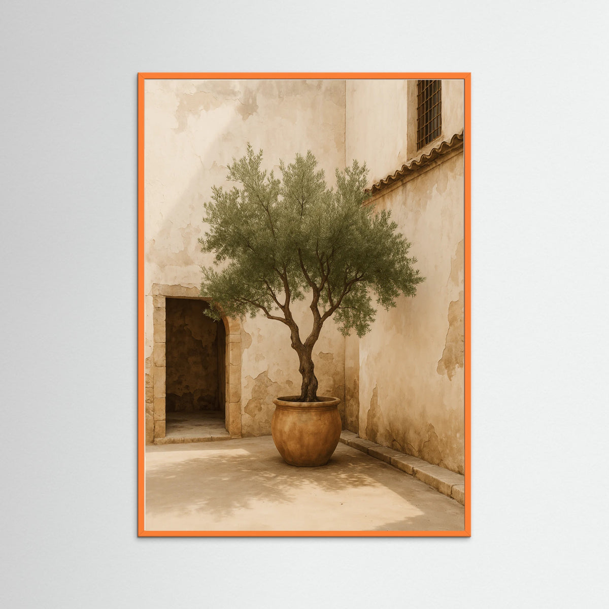 Orange Wood photo Potted Olive Tree